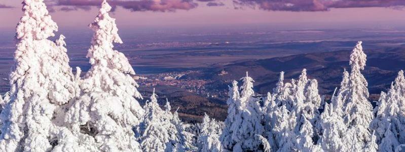 Bergsuite No.27 Braunlage Dış mekan fotoğraf
